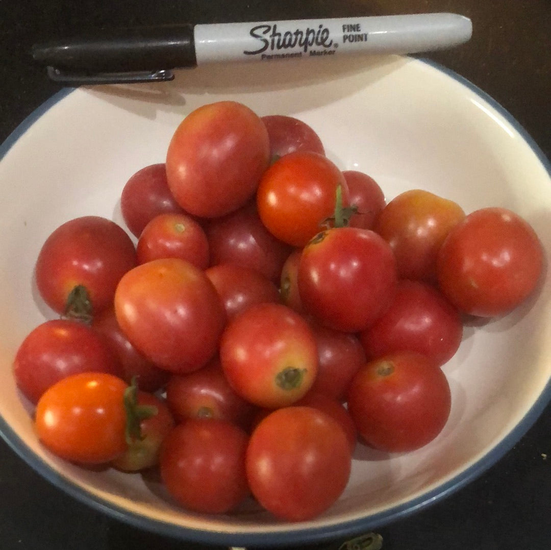 Tomatoes, Cherry, 'Super Sweet 100s’