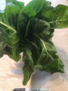 Swiss Chard