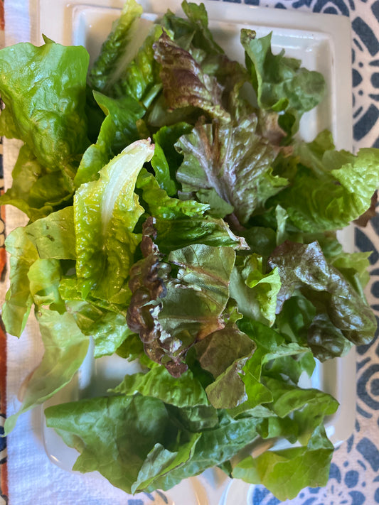 Lettuce, Mixed Salad ready to eat 7 oz