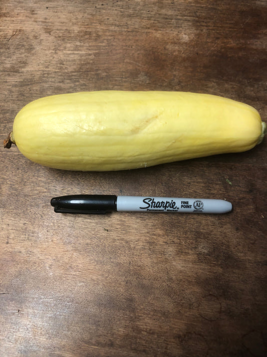 Squash, Yellow, each