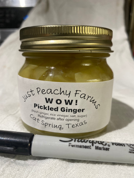 Pickled Ginger