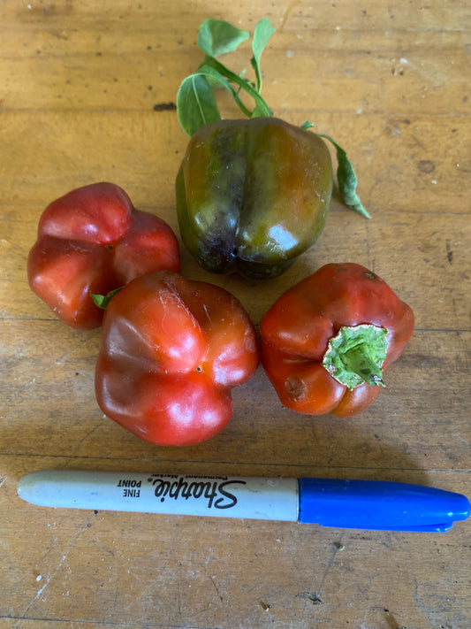 Peppers,  red bell (1)