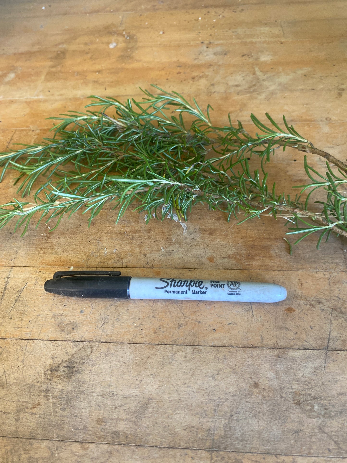 Rosemary