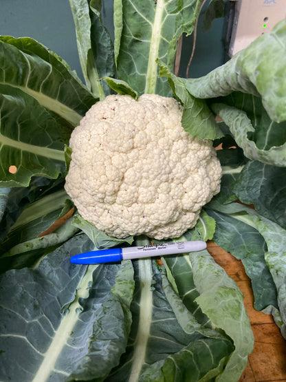 Cauliflower