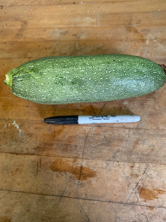 Squash, Zucchini, Grey
