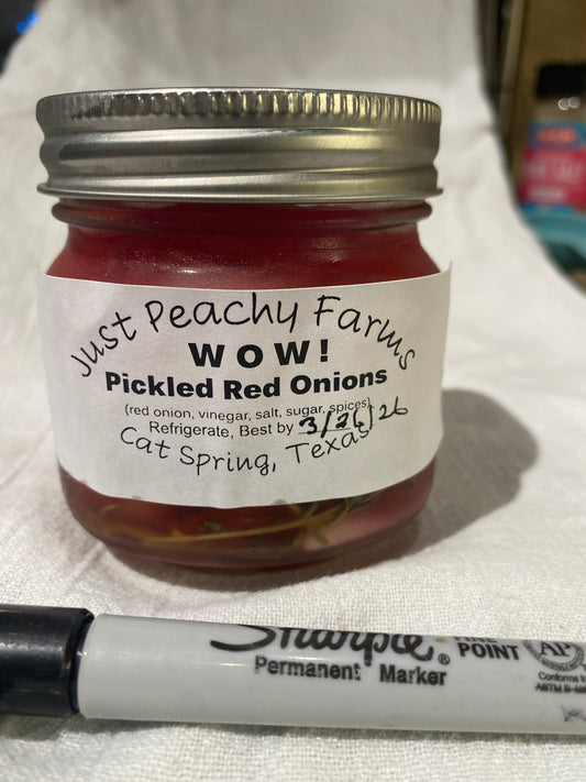 Pickled Red Onions