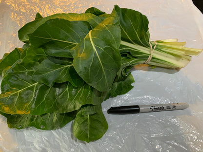 Swiss Chard