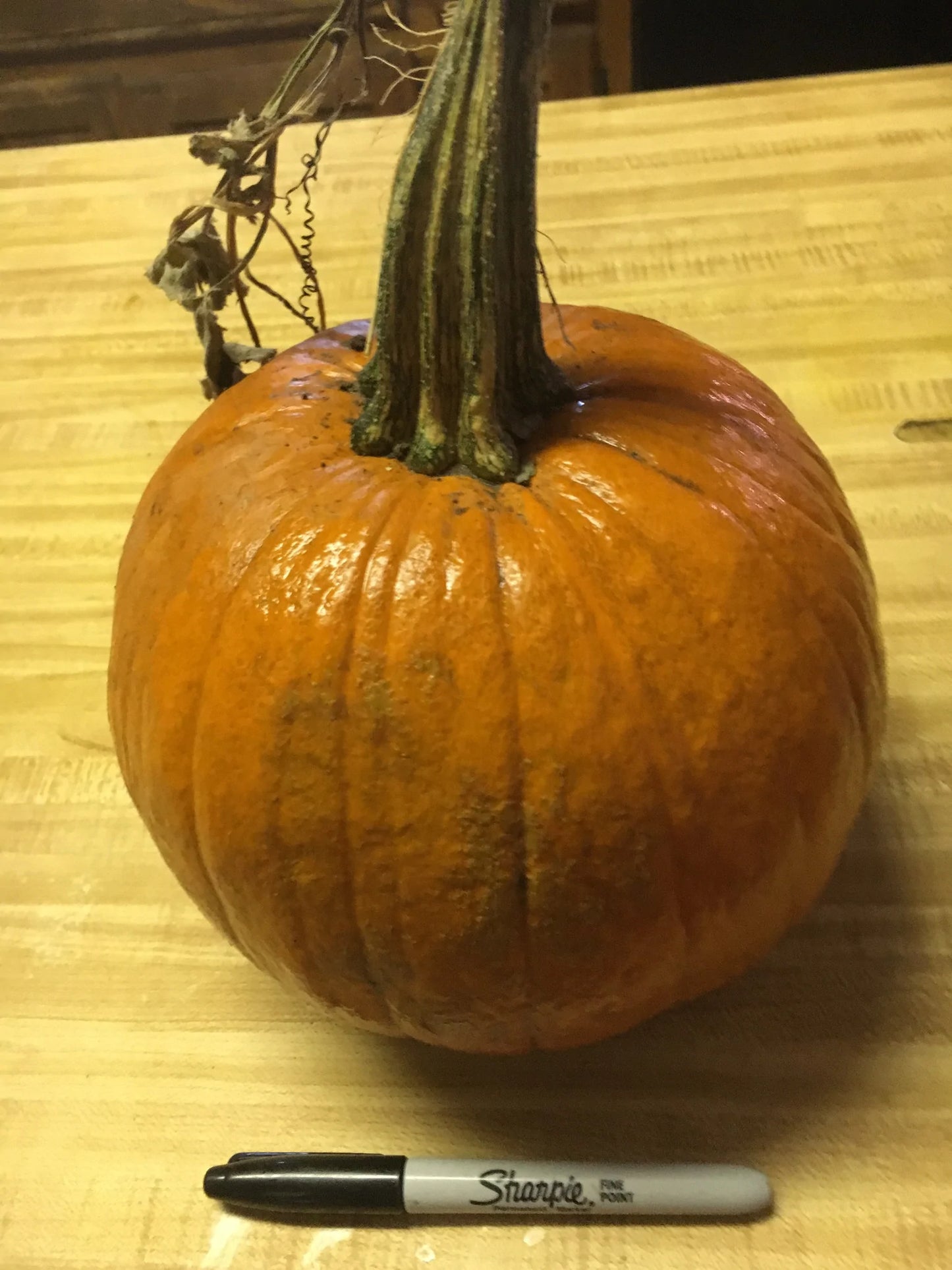 Pumpkins, pie