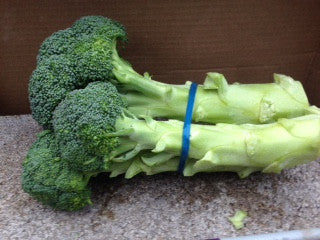 Broccoli