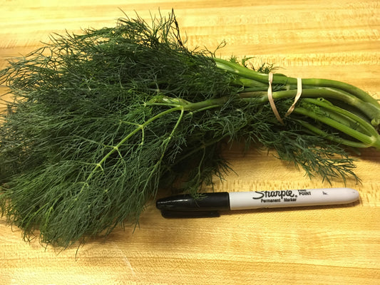Dill, fresh