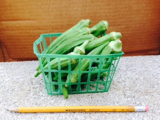 Okra