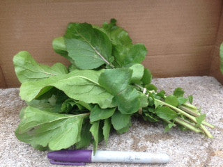 Greens - Turnip (bunch)