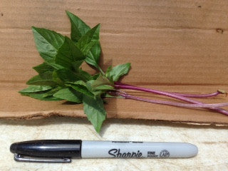 Basil (bunch)